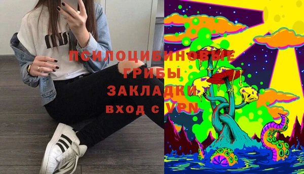 ПСИЛОЦИБИНОВЫЕ ГРИБЫ Верхний Тагил