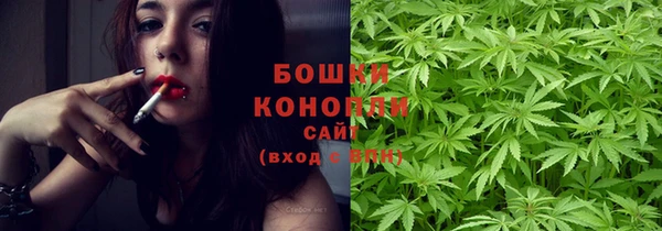 ПСИЛОЦИБИНОВЫЕ ГРИБЫ Верхний Тагил