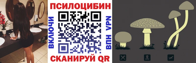 Купить закладки  Протвино  Псилоцибиновые грибы Psilocybe 
