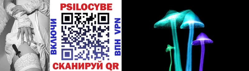 Галлюциногенные грибы Psilocybe Протвино